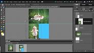 Print Multiple Photos on a 4x6 in Photoshop Elements