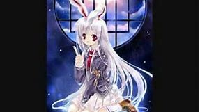 Anime Bunny Girls slideshow