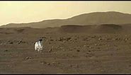 Animals on mars | Nasa's Mars Perseverance Rover Sends Fascinating Pictures - Curiosity Mission