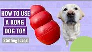 How to Use a Kong Dog Toy - Stuffing Ideas!