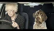 Funny Jokes - Never Trust An Old Lady Speeding Down The Road...