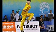 Sport of Wushu - Traditional and Competitive disciplines. all the rich history!