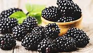 Growing Blackberries: A Complete Guide on How to Plant, Grow, & Harvest Blackberries