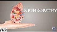 Nephropathy: Everything You Need To Know