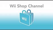 Using the Wii Shop Channel in 2024 (Still Working?)