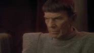 Ambassador Spock and Lt. Commander Data Talk