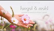 fungus & mold: remove + prevent - Subliminal Affirmations