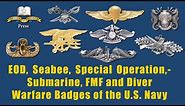 Navy Special Operations Badges for Seals, Submarine, Diver, Parachute, Seabees, EOD, and FMF badges.