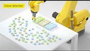 Intelligent robot accessories from FANUC - Integrated vision