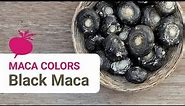 Black Maca - How It's Different and Why to Try It.