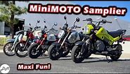 Honda MiniMOTO Buyer's Guide: Grom, Monkey, Navi, Super Cub, Trail 125 Comparison