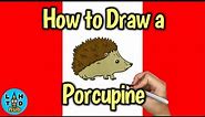 How to Draw a Porcupine Step by Step Easy