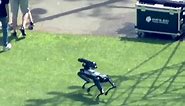 Boston Dynamics robot dog spotted with police on Esplanade