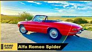 Alfa Romeo Duetto Spider 1600 - The best looking Alfa ever made ?