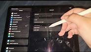 Stylus Pen for iPad