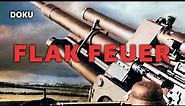 FLAK Feuer (Luftangriff auf Deutschland, FLUGABWEHR, 2. Weltkrieg, Luftwaffe, Originalaufnahmen)