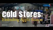 Cold Stores: Extending Apple Season in Kashmir