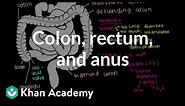 Colon, rectum, and anus | Gastrointestinal system physiology | NCLEX-RN | Khan Academy