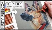 How to draw a dog in COLOURED PENCIL on TONED PAPER for BEGINNERS! // Canson Mi-teintes