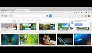 Firefox - How to download all pictures from the website to local computer