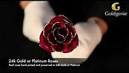 24k Gold Plated Real Roses | 24k Gold Plated Real Fuchsia Roses | Real Roses Preserved in 24k Gold