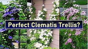 Building a Better Trellis for Clematis