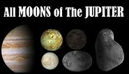 All Moons of Jupiter - Satellites of Jupiter - How Many Moons Does Jupiter Have