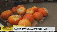 Fall harvest fun and food
