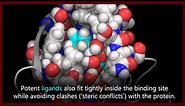 A basic introduction to drugs, drug targets, and molecular interactions.