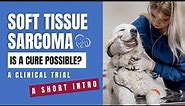 Canine Soft Tissue Sarcoma Trial - A Short Intro