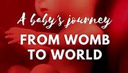 A baby's journey - from womb to world 🤰🤱 ✍️ Poem by Pregnancy Guide | Pregnancy Guide