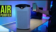 Wifi Air Purifier with Low Noise (FAMREE)