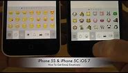 How To Get Emoji Emoticons On iPhone 5S & iPhone 5C iOS 7