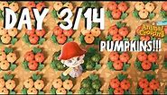 DAY 3: Pumpkin Patch Entrance! |14-DAY-CHALLENGE | Animal Crossing: New Horizons