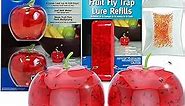 Fruit Fly Traps for Indoors by Raid | 2 Lures + 2 Refills | Effective Fruit Fly Trap for Indoor Use | Fruit Fly Killer & Gnat Traps for House Indoor | Easy to Use & Safe Food-Based Lure Fly Catcher