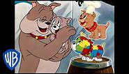 Tom & Jerry | Tyke the Best Pup Ever | Classic Cartoon Compilation | WB Kids