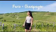 Day trip to Champagne from Paris - winery tour, vineyards & more