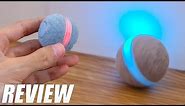 Boqii Cat Ball Toy Automatic Chargeable Ball for Cats Unboxing and Review