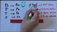 Farsi / Persian Lesson: Persian Alphabet B, P, T, S (65)