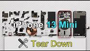 iPhone 13 Mini Tear Down | Small But Super! | How It Comes So Compact?