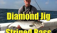 Diamond Jigging BIG STRIPED BASS Saltwater Fishing HOW TO Video