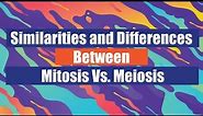 Similarities and Differences Between Mitosis Vs Meiosis