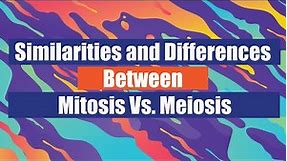 Similarities and Differences Between Mitosis Vs Meiosis