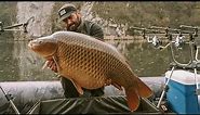 Ribolov Šarana - Big Carp Fishing - reka Lim