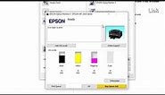 Epson printers how to print in Black with an empty Color Cartridge