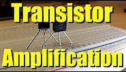 Transistor Amplification