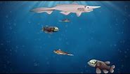 Deep Water Fish Aquarium Cartoon