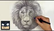 How To Draw a Lion | YouTube Studio Sketch Tutorial