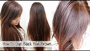 How to Dye Hair from Black to Brown Without Bleach l Loreal HiColor: Vanilla Champagne