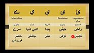 #css #pashtoalphabets #pashtowriting Pashto Alphabets| How to Learn Pashto Writing|. Part2